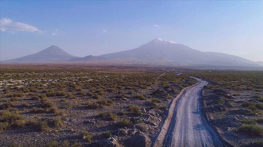 Kökleriyle toprağı tutan ebucehil çalısı Iğdır'da kum fırtınasına da set oldu