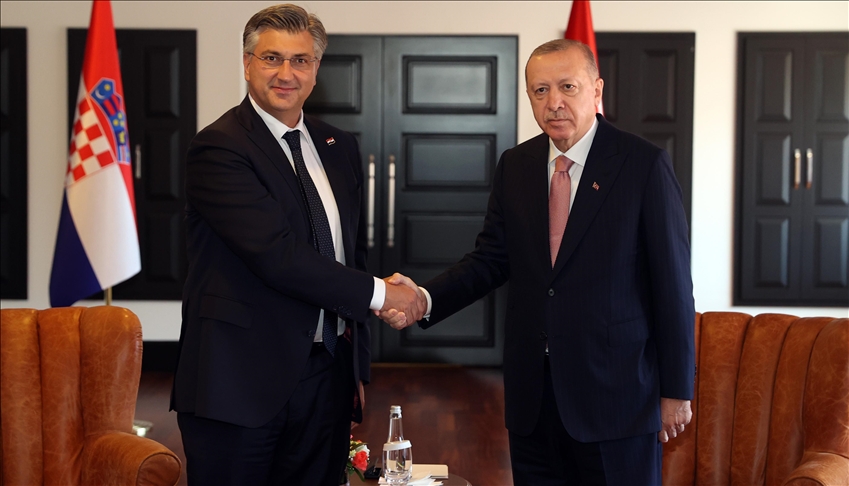 دیدار اردوغان با پلنکوویچ در آنتالیا
