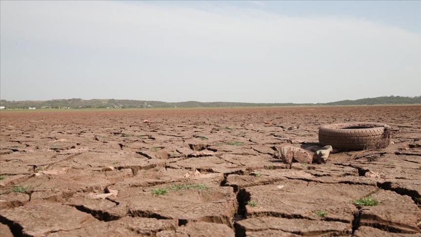 La desertificación afecta la vida de casi 2.000 millones de personas en todo el mundo