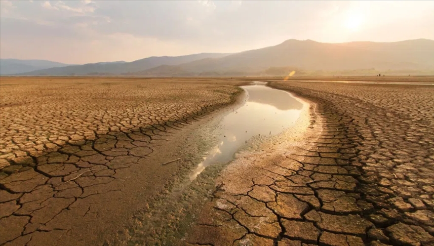 Опустынивание и засухи подрывают благосостояние 3,2 млрд человек - ООН