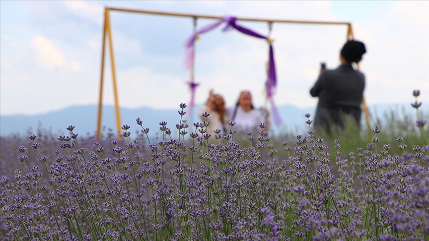 'Tekirdağ Lavanta Günleri' başladı