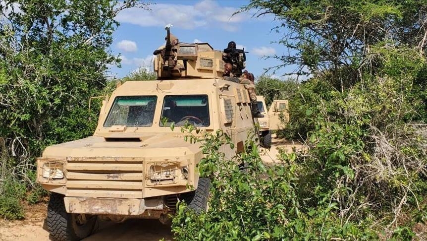Somali military claims killing 30 al-Shabaab terrorists