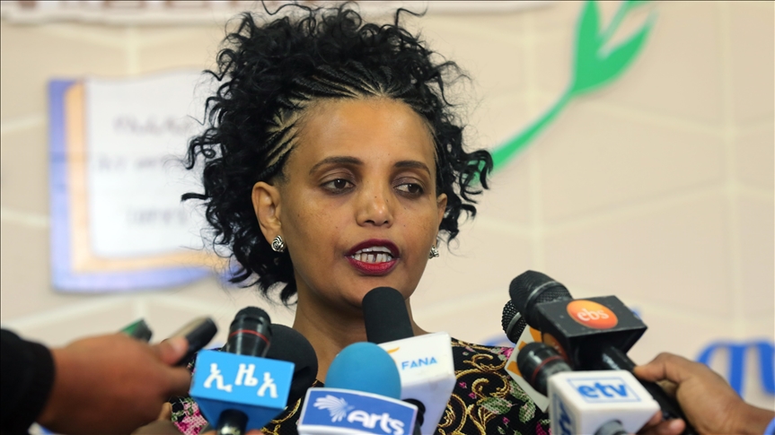 PROFILE - Birtukan Mideksa: Ethiopia’s symbol of electoral reform
