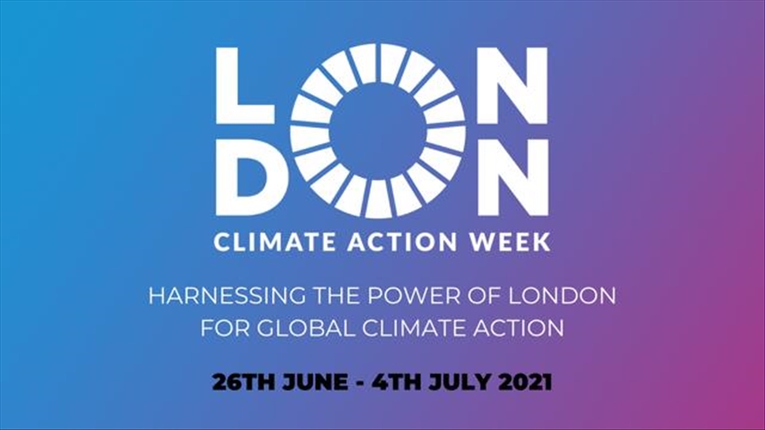 Turkish artists to join London Climate Action Week with online show