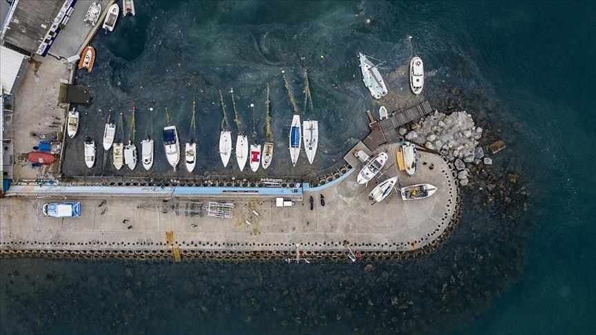 Mucilage has not descended to Sea of Marmara depths: Study