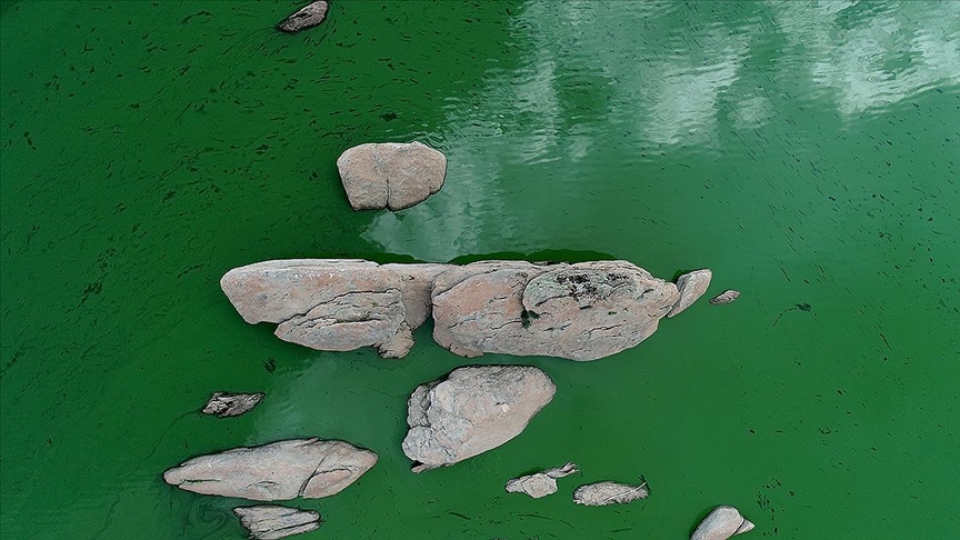 Yağışlar Kırklareli'ndeki barajlarda su seviyesini yükseltti