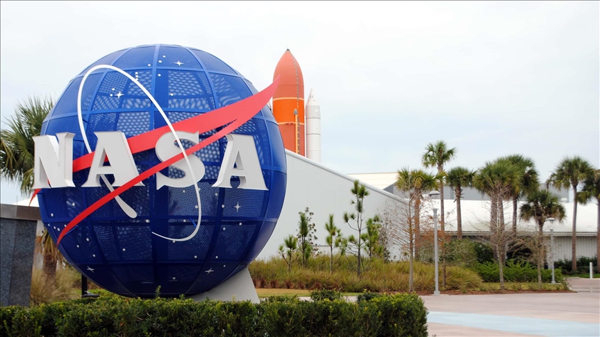 La NASA usará calamares para conocer los efectos de los vuelos espaciales en la salud humana