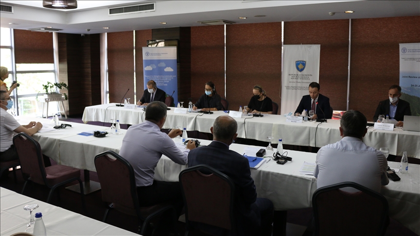 Degradiran kosovski šumarski sektor: Krčenje šuma utiče na kvalitet vazduha i ekonomski razvoj