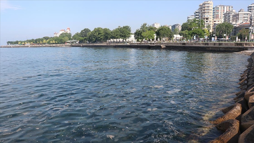 Marmara Denizi'nden 6 bin 564 metreküp müsilaj temizlendi