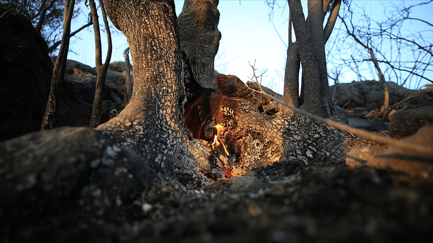 Antalya'nın Kaş ilçesinde çıkan orman yangınları kontrol altına alındı