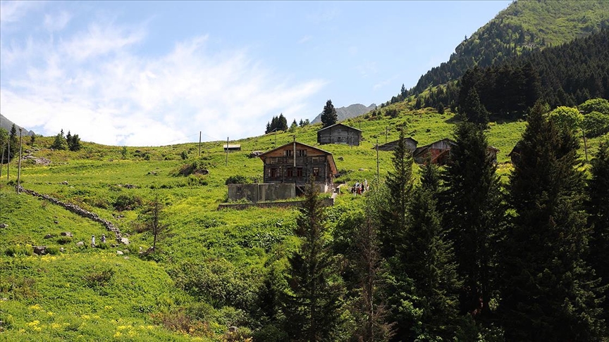 Karadeniz'in yeni gözdesi Elevit Yaylası ziyaretçilerine adeta nefes oluyor