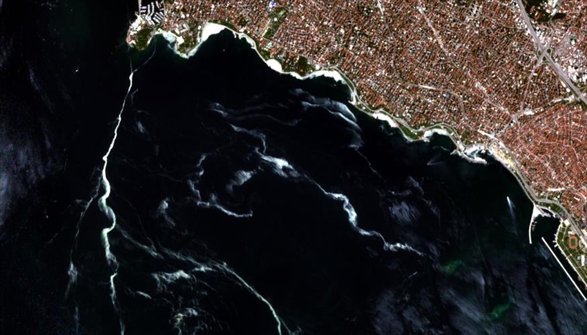 عبر الفضاء.. مركز أبحاث تركي يرصد "لعاب البحر" في مرمرة (تقرير)