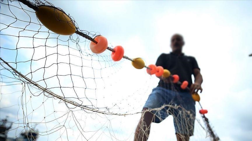 Mauritanie : Grandes quantités de poissons morts échoués sur les rivages au nord de Nouakchott