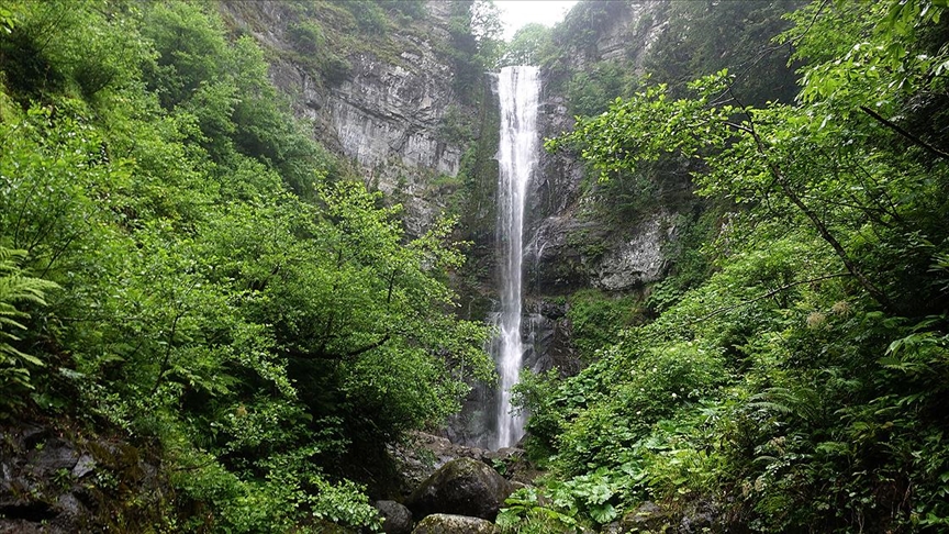 Artvin'in Camili Havzası doğaseverleri bekliyor