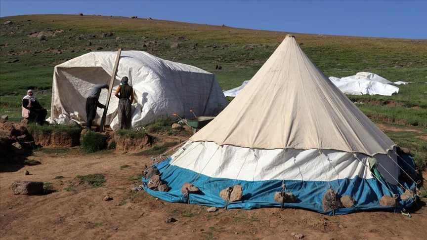 Güvenlik sorunu yaşanmayan Ağrı'nın yaylaları göçerleri ağırlıyor