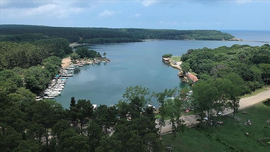 Natural parks in Turkish Black Sea province growing more popular
