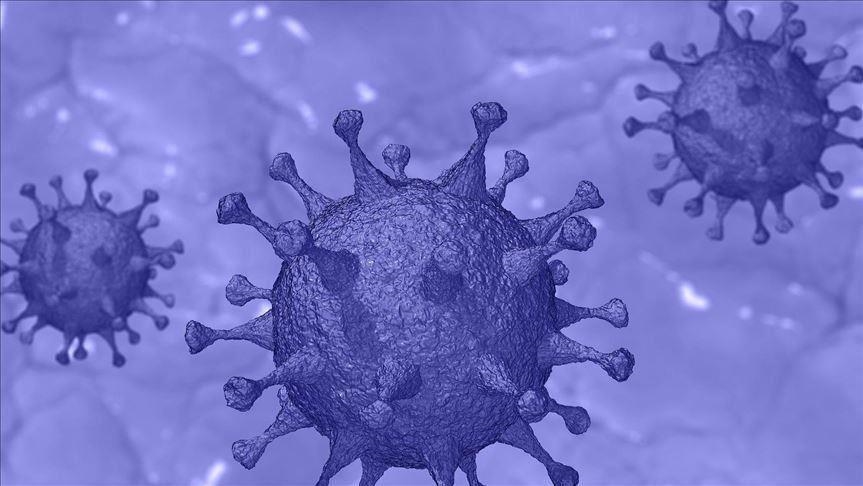 Zbulohet varianti Delta i koronavirusit tek 2 persona në Serbi