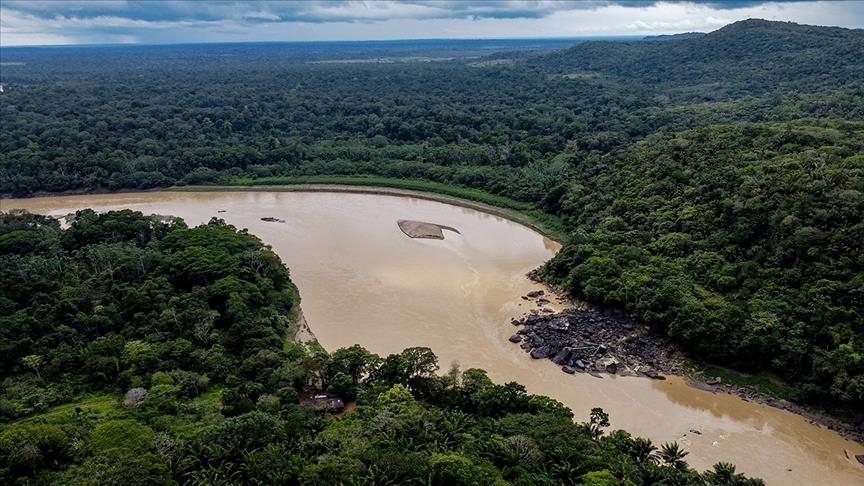 Brazil’s Amazon sees highest number of forest fires for June since 2007