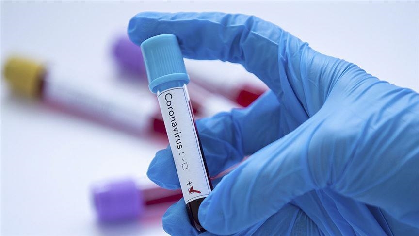 Коронавирус в Украине: за сутки выявлено почти 700 новых случаев