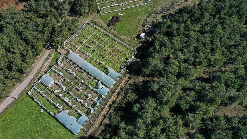 Devlet destekli tarım sigortalarında toplam sigorta bedeli yüzde 50,7 arttı
