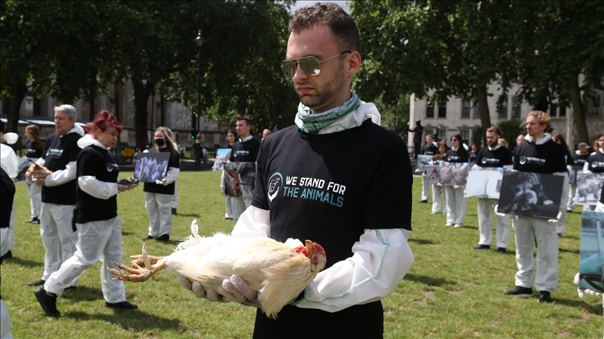 Protest aktivista za zaštitu životinja u Londonu: Prestanite sa ubijanjem životinja