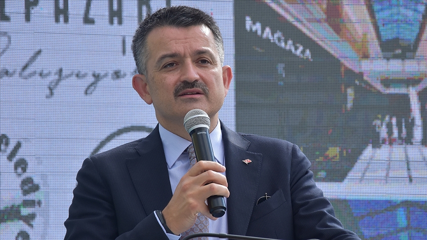 Tarım ve Orman Bakanı Pakdemirli: Marmara Denizi'nden çıkan balıkların tüketilmesiyle alakalı herhangi bir problem yok