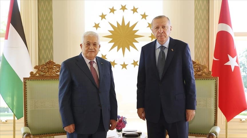 دیدار اردوغان و عباس در استانبول