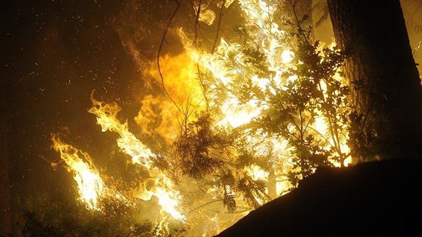 Wildfires Burn In Attica Region Evia Island In Greece