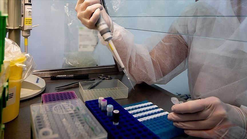 Human genome editing can aid global health, says WHO