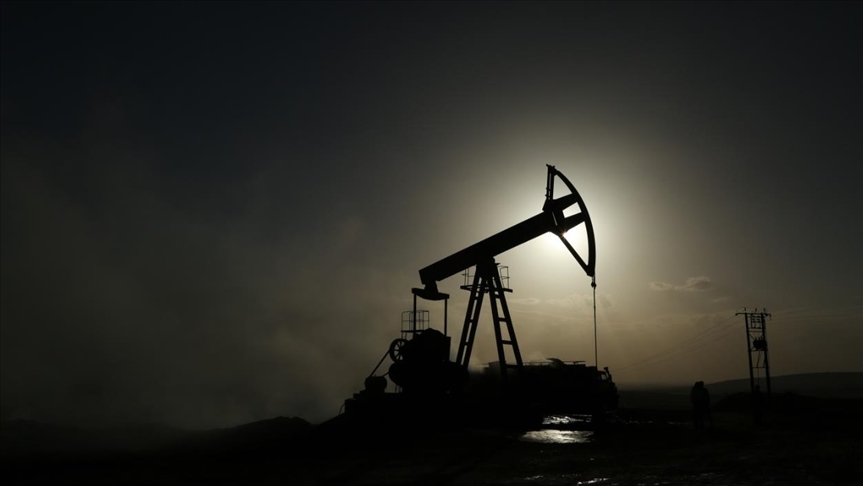 La OPEP mantiene sus previsiones de crecimiento de la demanda de petróleo para 2021