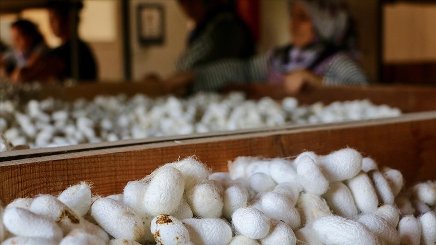 Türk ipeği kalitesiyle Asya ülkelerinden ilgi görüyor