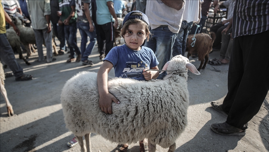 أضاحي غزة.. "إقبال" على الشراء رغم تردي الأوضاع الاقتصادية (تقرير)