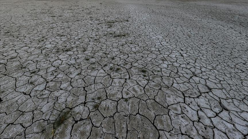 محمدی: 80 درصد مساحت استان اردبیل دچار خشکسالی شدید است