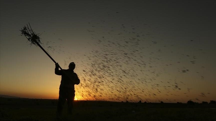 Tarım Kredi üreticilere bu yıl 600 milyon liralık faizsiz kredi imkanı sağladı