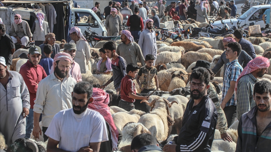 Northwestern Syrians preparing for Eid al-Adha feast