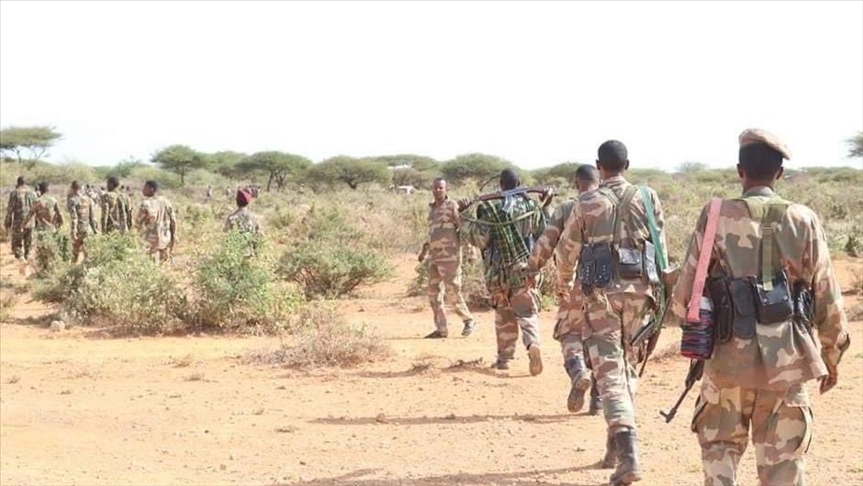 Somali military kills 50 al-Shabaab terrorists in separate operations