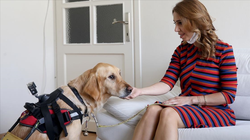 Görme engelli öğretmen, rehber köpeği 'Angel' ile artık daha özgürce dolaşabiliyor