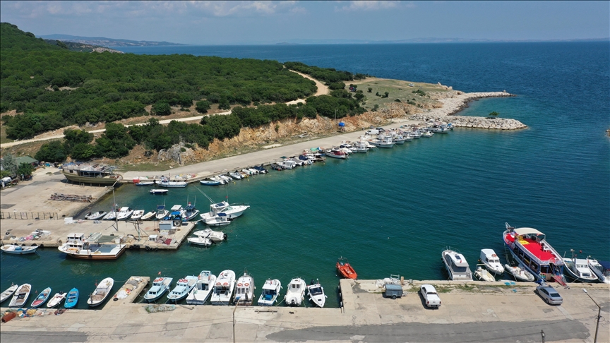 «Аквариум Сароса» - один из центров дайвинг-туризма Турции