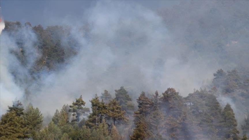 1.500 orang dievakuasi akibat kebakaran di Pulau Sardinia, Italia 