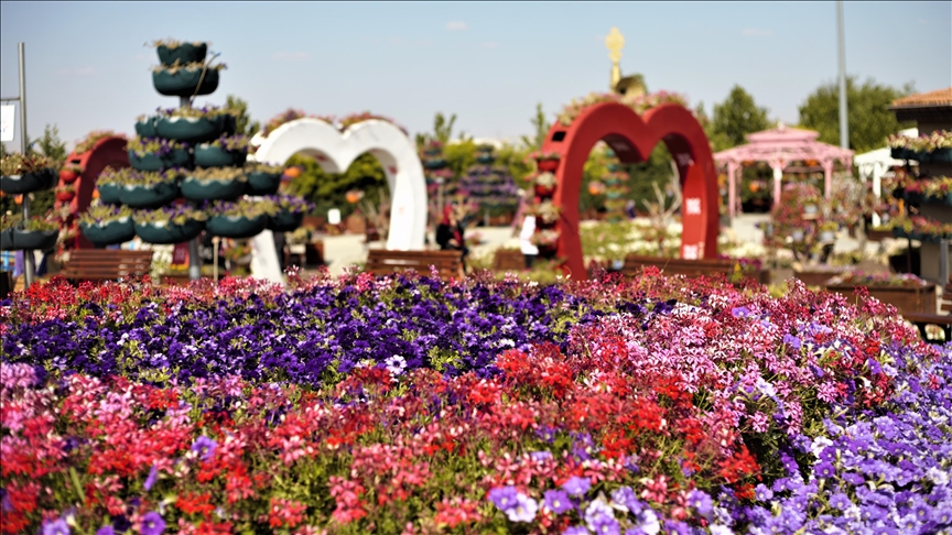 باغچه جدید باغ پروانه‌های گرمسیری قونیه ترکیه