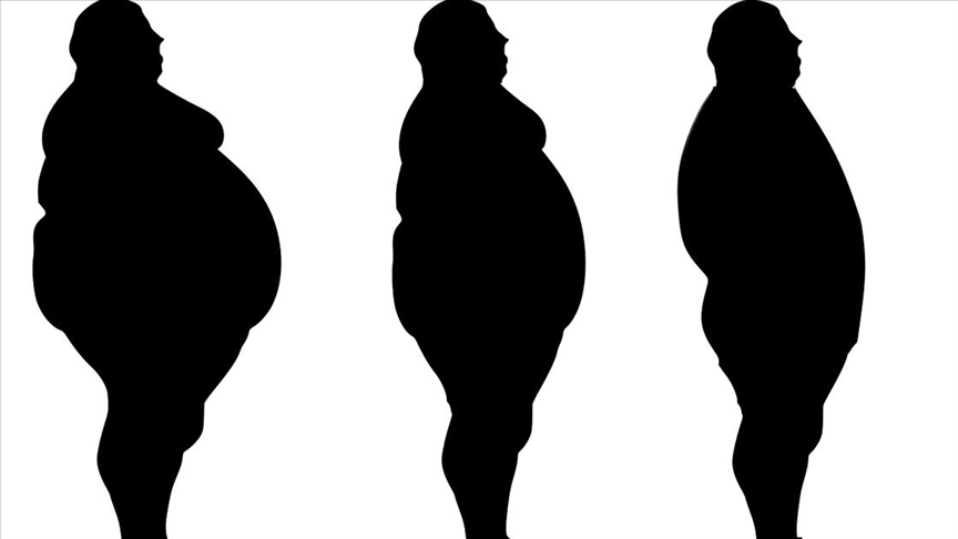 Obesity emerges as health hazard in cash-strapped Zimbabwe
