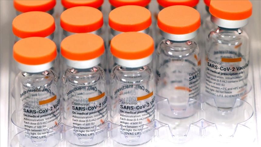 Estudio afirma que los anticuerpos de la vacuna de Sinovac disminuyen luego de seis meses