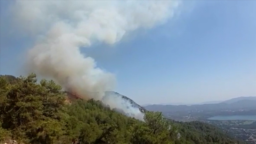 Muğla'nın Köyceğiz ilçesinde çıkan orman yangını kontrol altına alınmaya çalışılıyor
