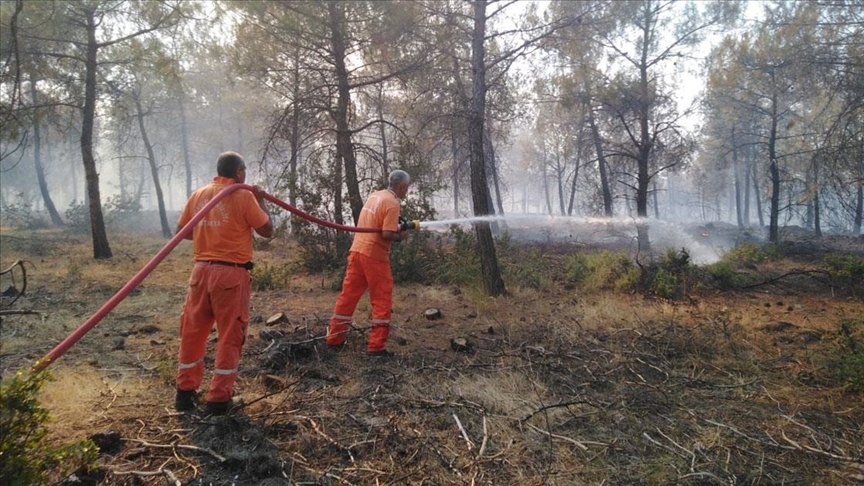 Kilis'te çıkan orman yangını kontrol altına alındı