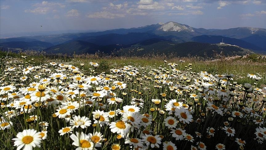 زیبایی بینظیر کوه ایلگاز در چهار فصل سال