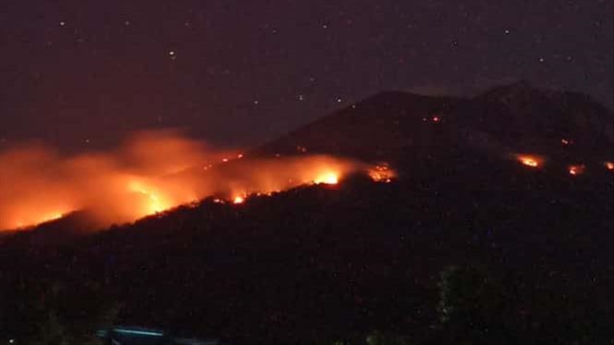 Kebakaran hutan termasuk ke dalam bencana alam