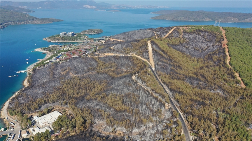 Milas'taki yangında zarar gören 80 hektarlık ormanlık alan havadan görüntülendi