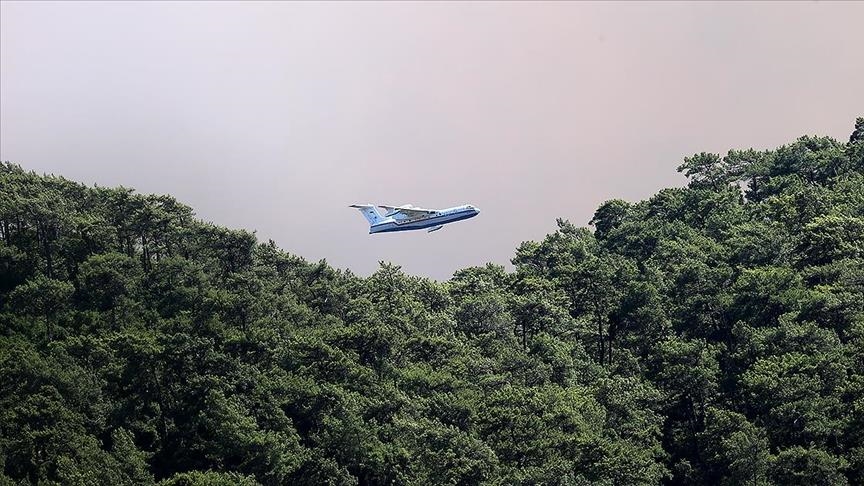 В Турции удалось локализовать 74 лесных пожара из 85