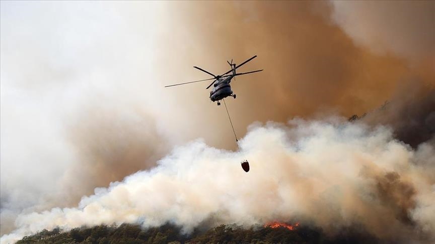 Incendies de forêts en Turquie: l'Egypte affirme sa solidarité au peuple turc
