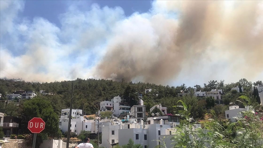 Bodrum'da makilik ve ormanlık alanda çıkan yangına müdahale ediliyor
